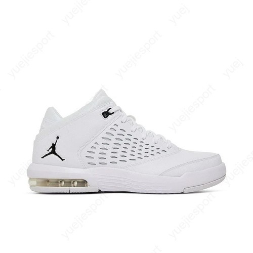 921196 100 jordan - jordan, flight