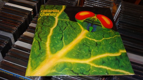 Catapilla changes prog akarma - catapilla,