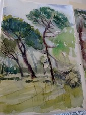  paesaggi,parchi di Roma