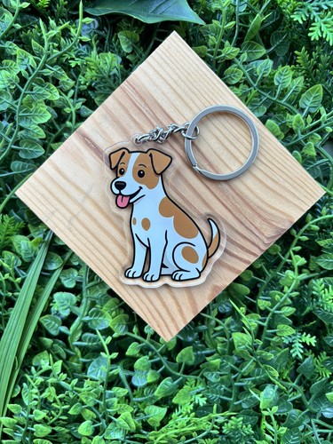 Jack russell terrier dog - jack,