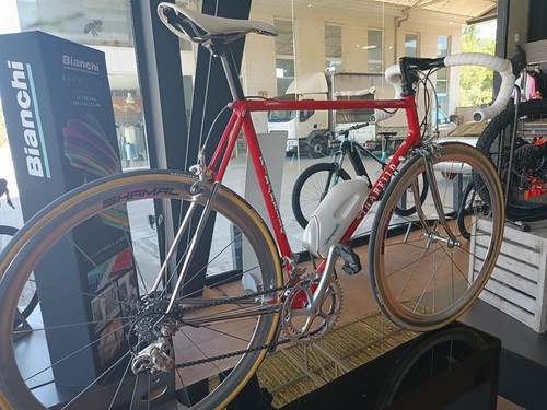 Pinarello treviso - pinarello,