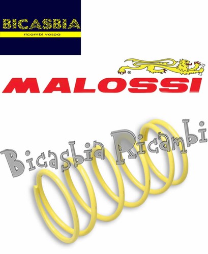 12954 molla contrasto - -,