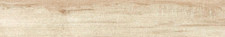 CAMPIONE NORTH WIND OAK 15 X