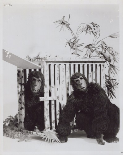 Costume gorilla atto caccia - costume,