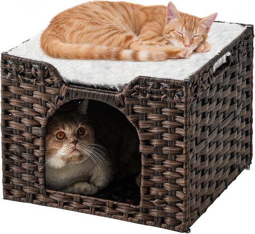 Cubo per gatti interno - , gattino