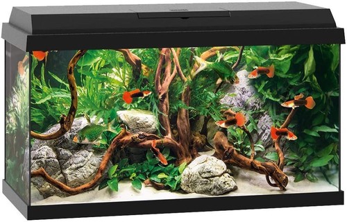 Juwel set acquario primo - acquario, 60