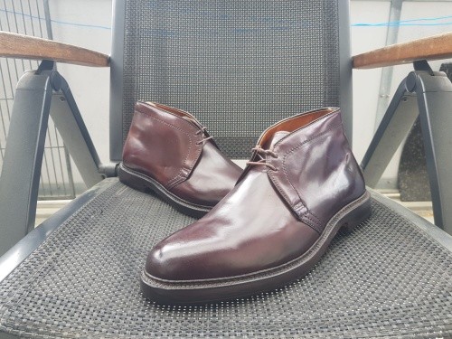 Alden 1339 shell cordovan - shell,