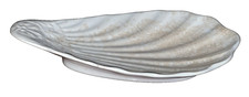 Vassoio antico a conchiglia in
