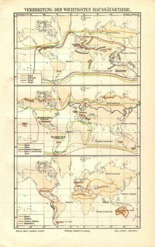 Antica mappa 1895 - antica,