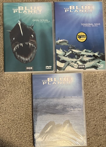 The blue planet seas - blue, life