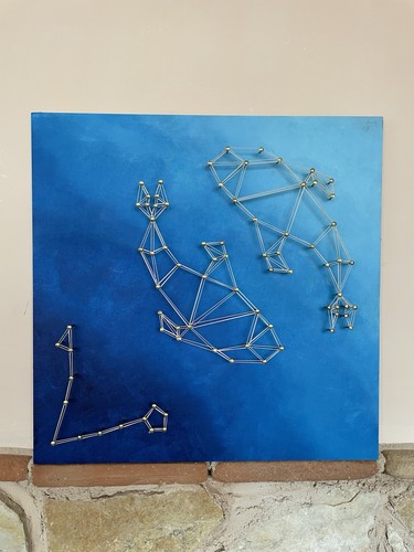 String art pesci segno - string,