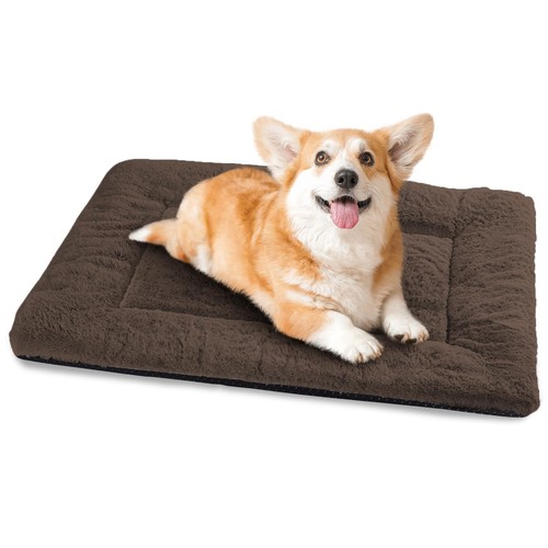 Cuccia cane interno - cane, taglia