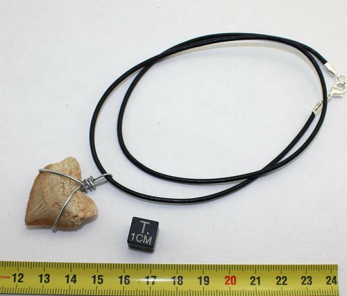 Collana pendente dente - collana,