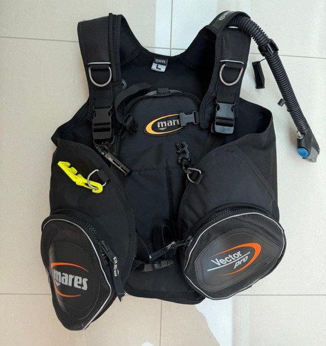 Giacca mares vector origin - vector,