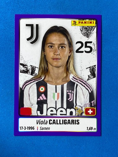 Panini figurine calciatrici - figurine,