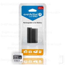 Batteria Ricaricabile
