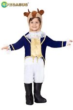 Costume Principe Del Castello