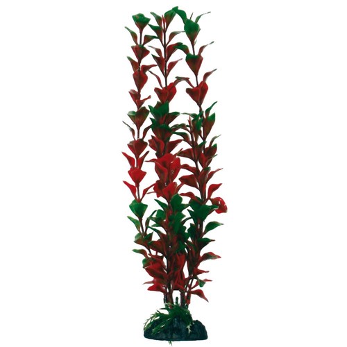 Amtra deko plant ludwigia - deko,