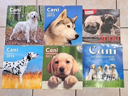 Lotto calendari cani vari - lotto,