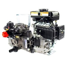 Motopompa irrorazione Annovi Reverberi AR 202 motore Rato EHR V80 - 2,3 cv