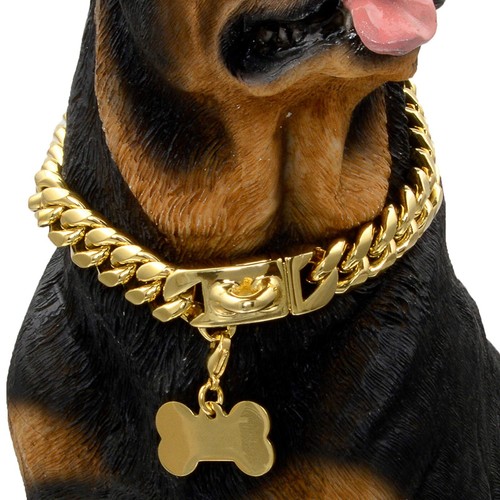 Collare per cani oro collare
