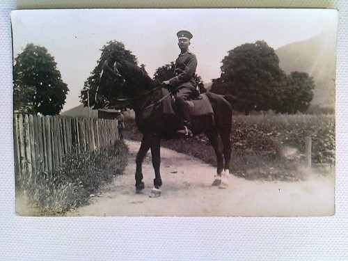 Ufficiale cavallo foto - a,