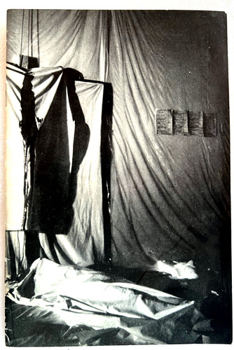 Hermann nitsch action - hermann,