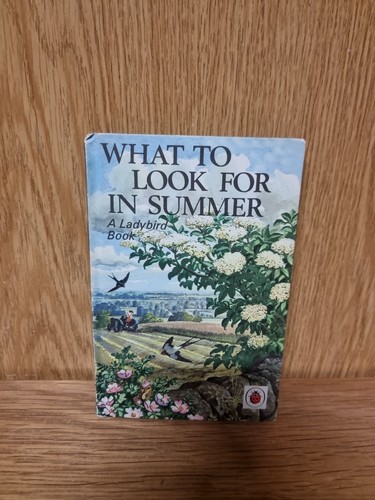 What look for summer - look, in