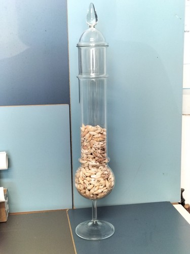 Vaso vetro con - vaso,