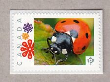 LADYBUG = BUG = Francobollo