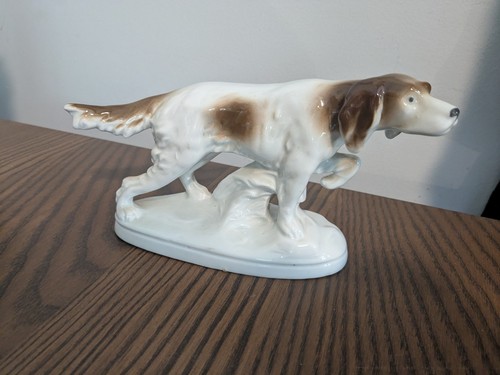 Setter inglese gundog - inglese,