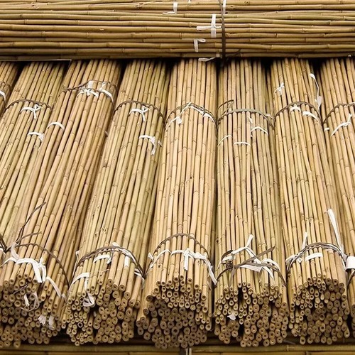 Canne bambù piedi spesse - bambù, 5