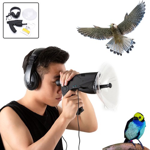 Amplificatore suono birds - amplificatore,