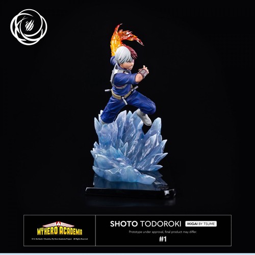 Tsume ikigai hero academia - my,