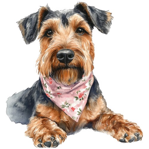 Adesivi airedale terrier - airedale,