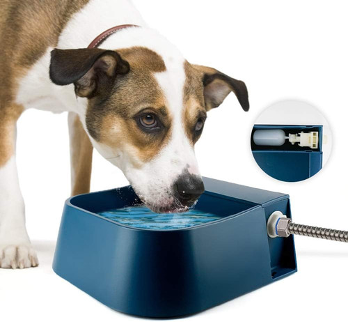Abbeveratoio per cani - abbeveratoio,