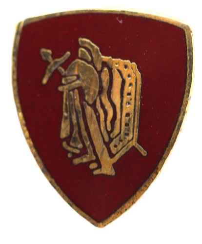 Distintivo spilla servizio - spilla,