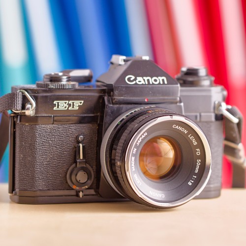 Canon 50mm - +, f/1.8