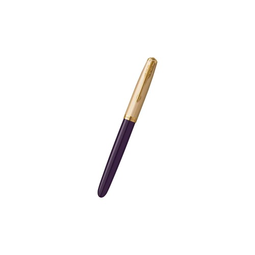 Penna stilografica parker - penna, 51