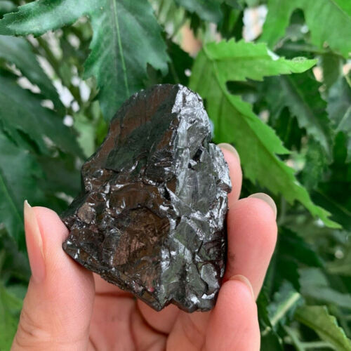 Elite noble shungite grade - elite,