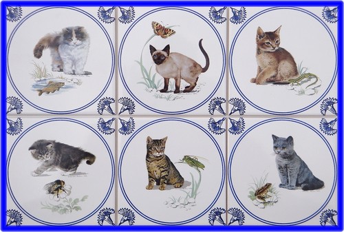 Piastrelle per gatti - , tipo