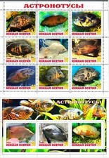 Blocco francobolli + foglio Astronotus pesci acquario 2021 emissione Ossezia del Sud
