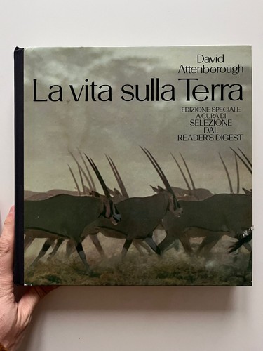 Vita sulla terra storia - terra.,