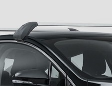 Originale Ford Portapacchi