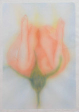 PASOTTO PAOLO - Senza titolo, 1973 - Archivio e pubblicazione