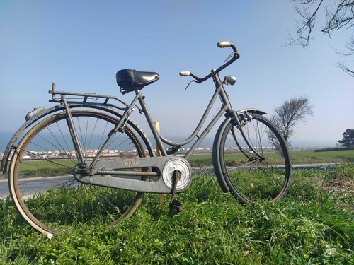 Bicicletta wolsit donna - wolsit, donna-anni