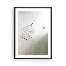 Poster 50x70cm Volo uccello