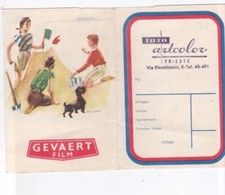 busta foto fotografia GEVAERT ROLLFILM Massonet