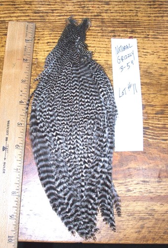 Piume grizzly hackle colore - hackle,
