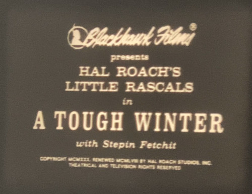 Tough winter - “tough, winter”